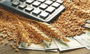борси зърно цени срив